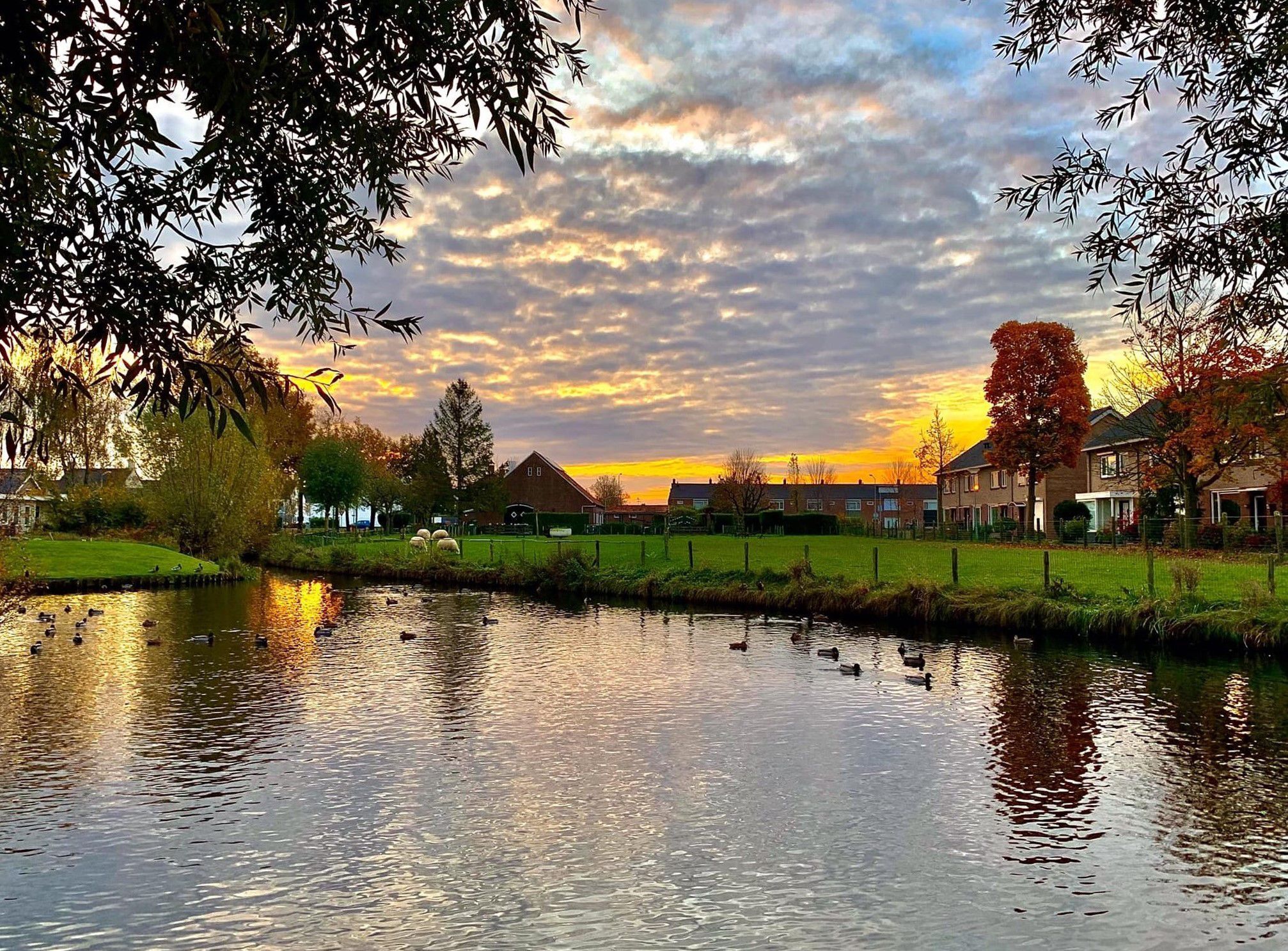 Fijnaart in beeld en geluid gevangen