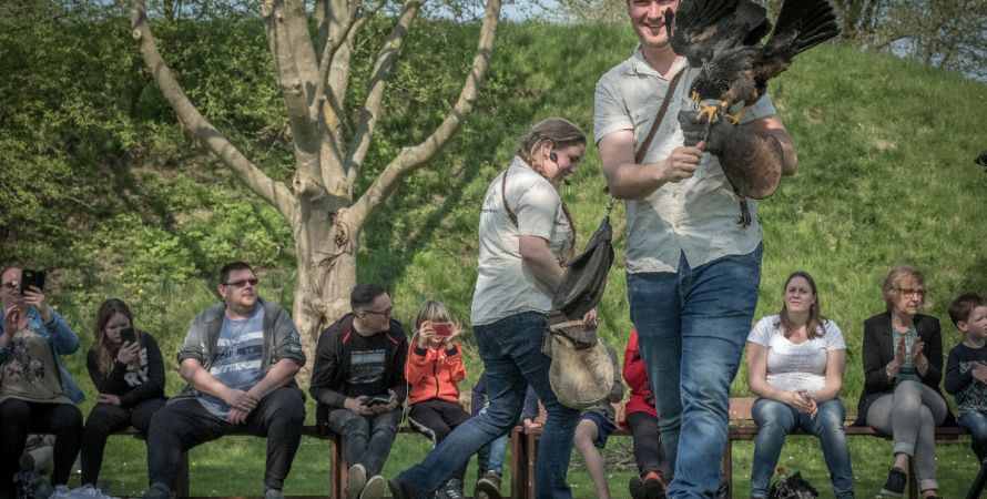 Ontmoet roofvogels en uilen op het Terreplein van Fort Sabina