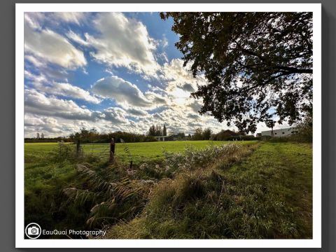 De natuur in Fijnaart / Jan Gorter